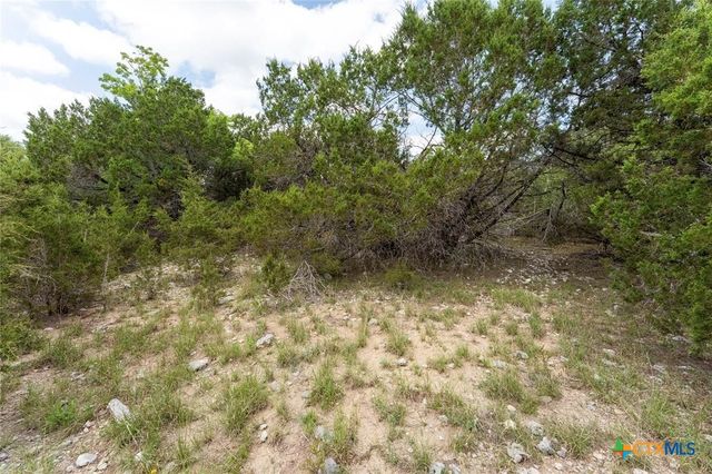 13921 Nutty Brown Road, Austin, TX 78737