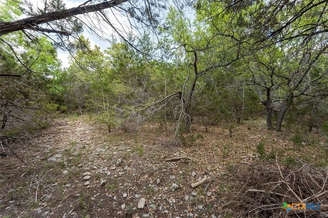 13921 Nutty Brown Road, Austin, TX 78737