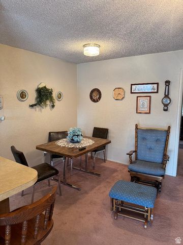88 N 200 W, Elsinore, UT 84724