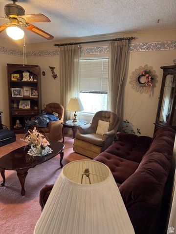 88 N 200 W, Elsinore, UT 84724