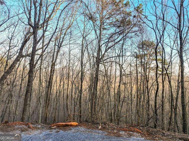 LOT 7 Mount Mincie Road, Murrayville, GA 30564