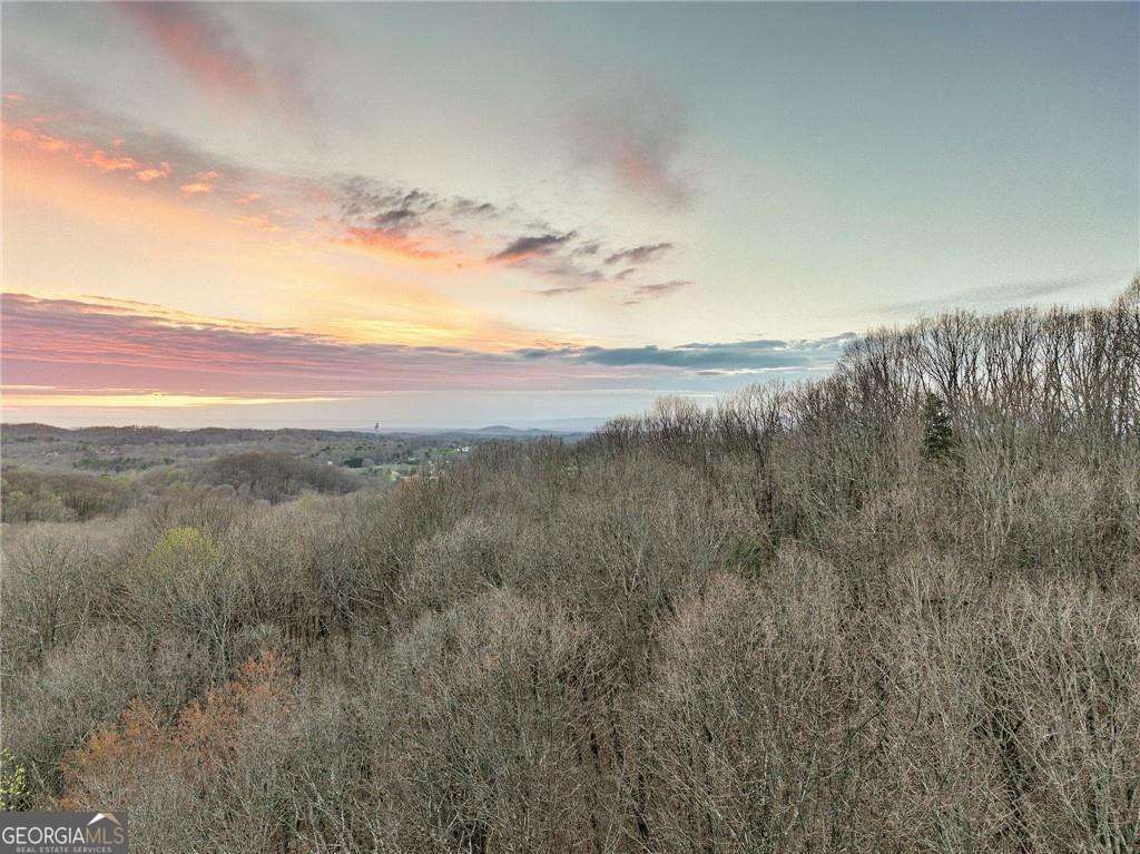 LOT 7 Mount Mincie Road, Murrayville, GA 30564