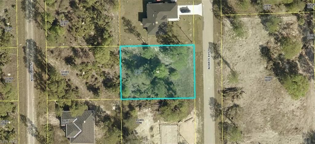 238 Norris AVE, LEHIGH ACRES, FL 33974 — exterior