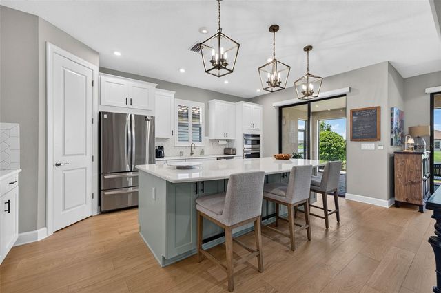 11108 CALLUNA DRIVE, Odessa, FL 33556