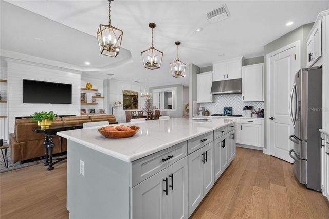 11108 CALLUNA DRIVE, Odessa, FL 33556
