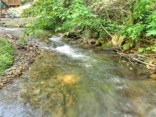 106 Butler Creek Road, Cherry Log, GA 30522