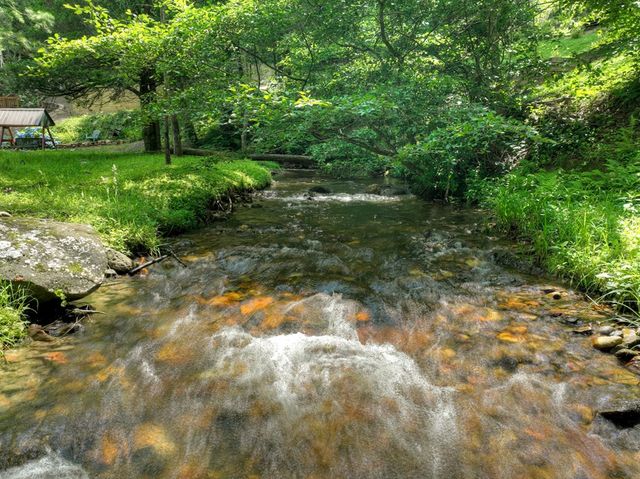 106 Butler Creek Road, Cherry Log, GA 30522