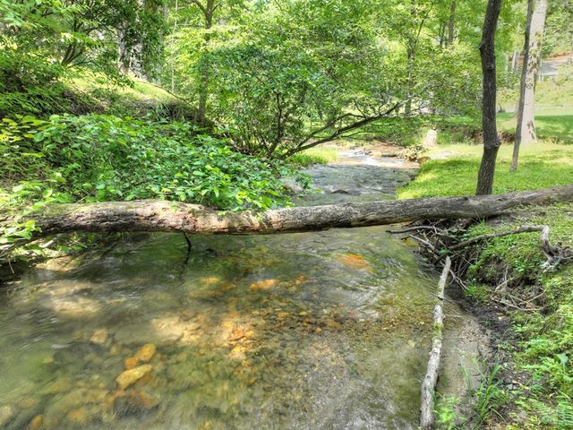 106 Butler Creek Road, Cherry Log, GA 30522