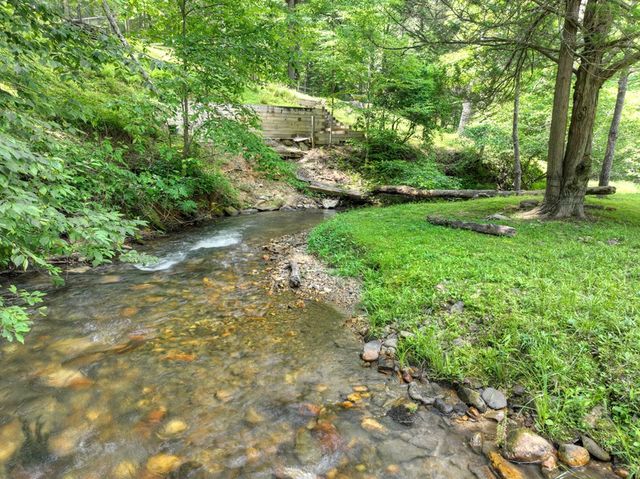 106 Butler Creek Road, Cherry Log, GA 30522