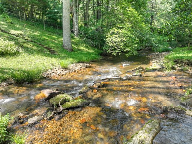 106 Butler Creek Road, Cherry Log, GA 30522