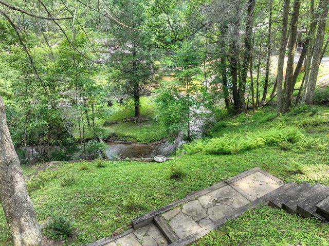 106 Butler Creek Road, Cherry Log, GA 30522