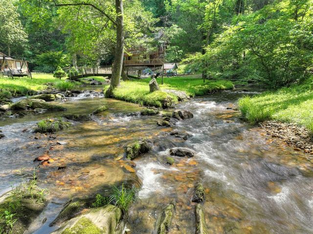 106 Butler Creek Road, Cherry Log, GA 30522