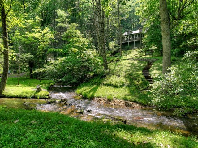 106 Butler Creek Road, Cherry Log, GA 30522