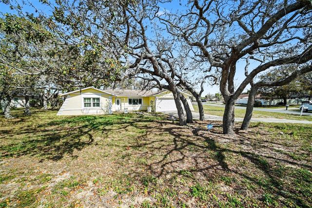 113 RUSKIN AVENUE, Spring Hill, FL 34606