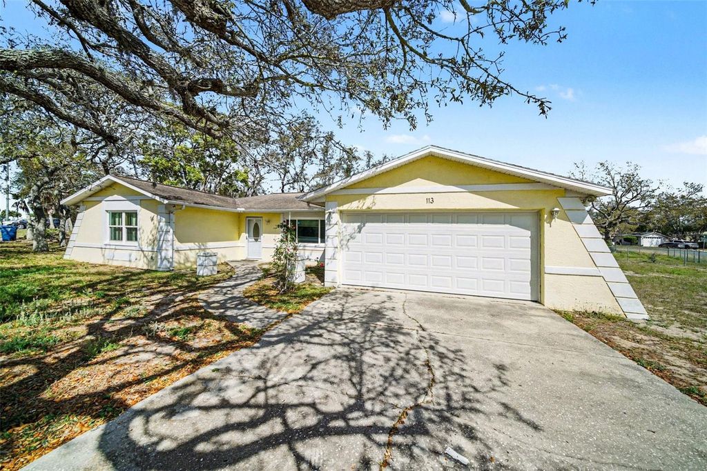 113 RUSKIN AVENUE, Spring Hill, FL 34606