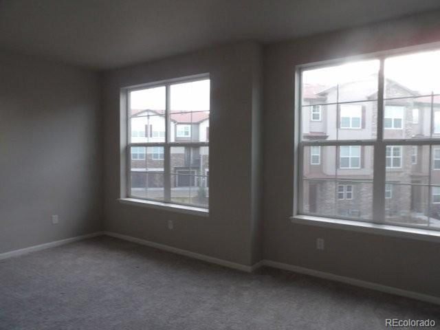 8428 Galvani Trl B, Littleton, CO 80129