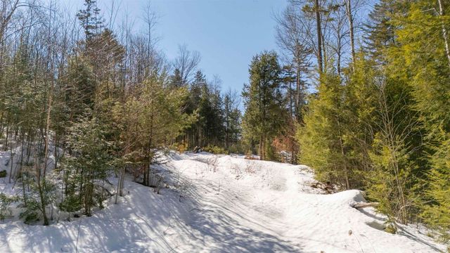 17 Hummock Lane, Grantham, NH 03753