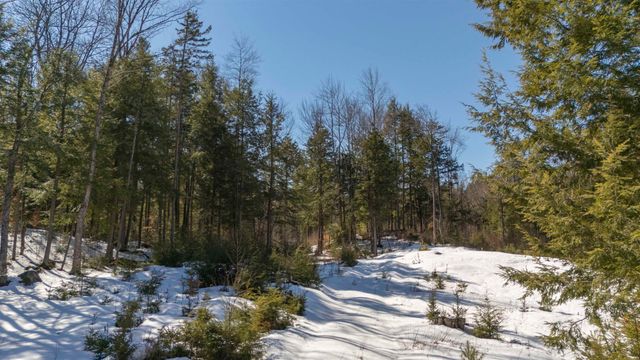 17 Hummock Lane, Grantham, NH 03753