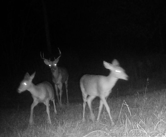 14902 E 370 Road, Claremore, OK 74017