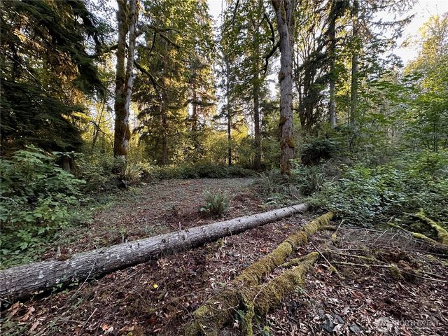 358 XX NE Moss Lake Road, Carnation, WA 98014