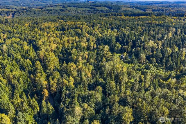 358 XX NE Moss Lake Road, Carnation, WA 98014