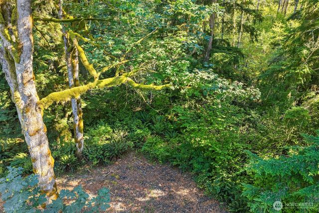 358 XX NE Moss Lake Road, Carnation, WA 98014