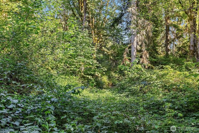 358 XX NE Moss Lake Road, Carnation, WA 98014