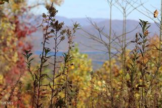 48 Locust Lane, Butler, TN 37640