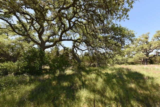 431 Oak Haven, Spring Branch, TX 78070
