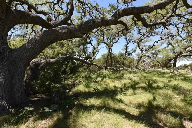 431 Oak Haven, Spring Branch, TX 78070