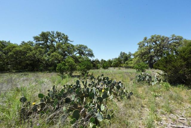 431 Oak Haven, Spring Branch, TX 78070