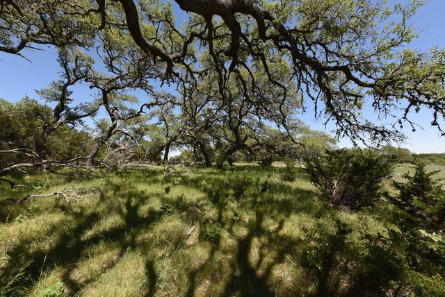 431 Oak Haven, Spring Branch, TX 78070