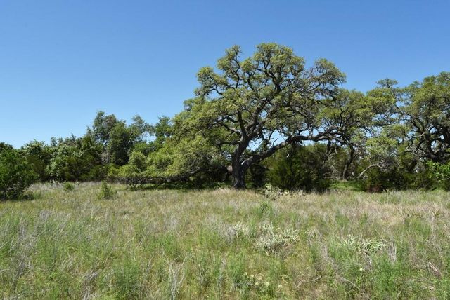 431 Oak Haven, Spring Branch, TX 78070
