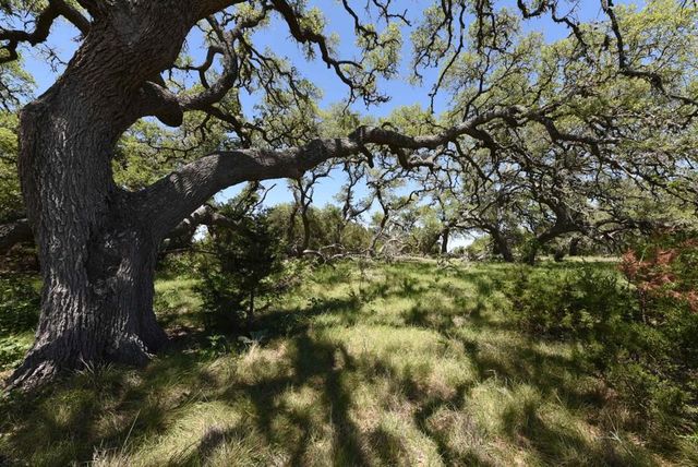431 Oak Haven, Spring Branch, TX 78070