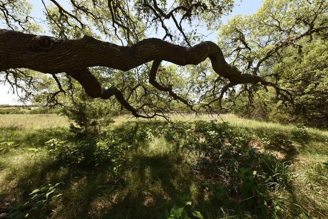 431 Oak Haven, Spring Branch, TX 78070