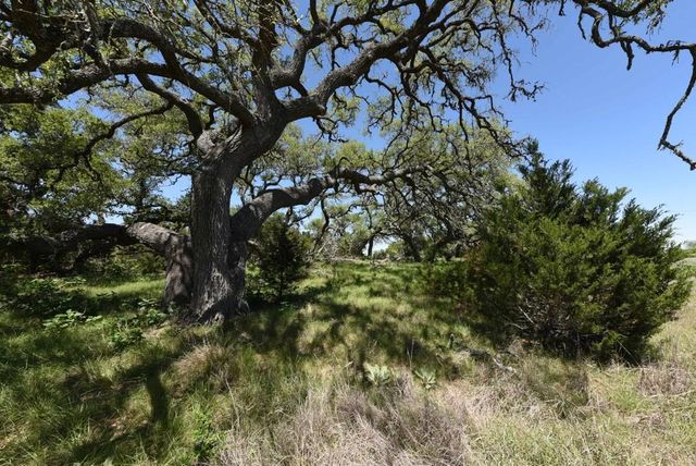 431 Oak Haven, Spring Branch, TX 78070