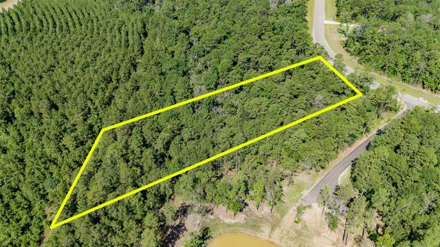 194 Exploration Road, Willis, TX 77378