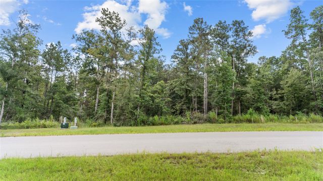 194 Exploration Road, Willis, TX 77378