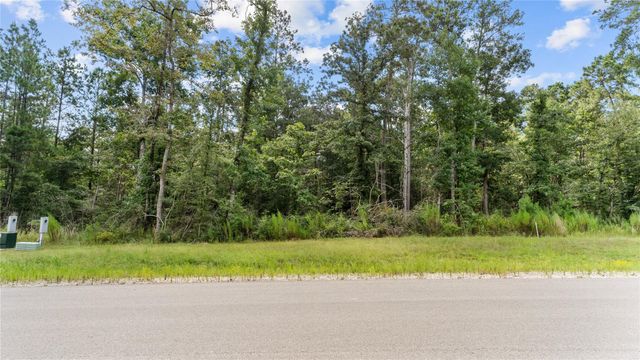 194 Exploration Road, Willis, TX 77378