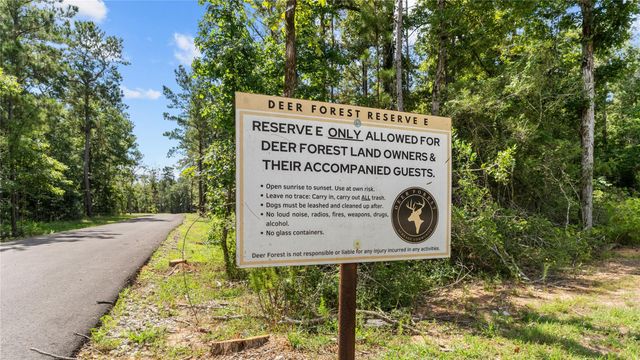 194 Exploration Road, Willis, TX 77378