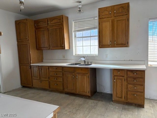 2534 North Saddleback Drive, Amargosa Valley, NV 89020