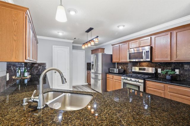 2631 Skyview Downs Drive, Houston, TX 77047