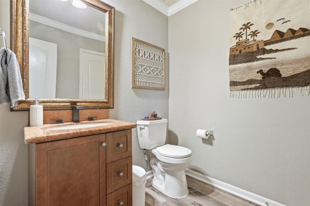 2631 Skyview Downs Drive, Houston, TX 77047