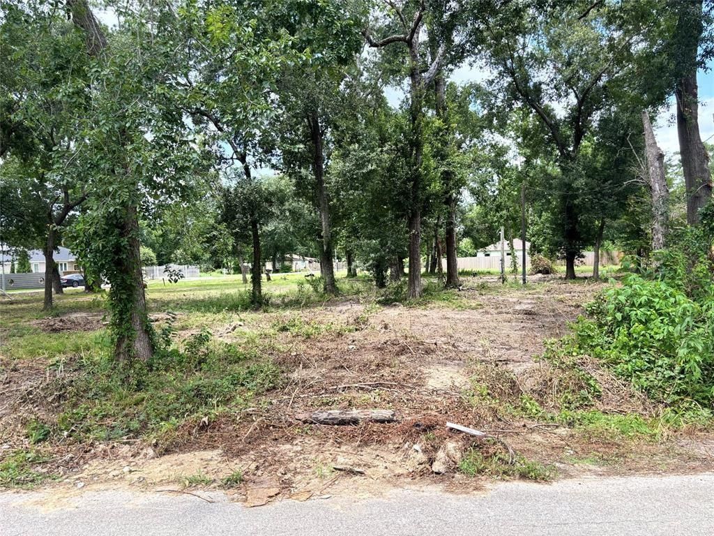 10406 Belridge Street, Houston, TX 77016