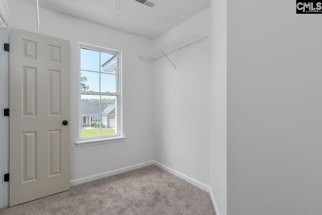 4 Saints Creek Place, Irmo, SC 29063