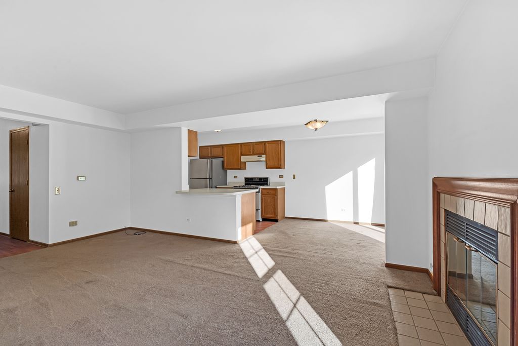 119 E Shag Bark Lane B, Streamwood, IL 60107 — photo 4