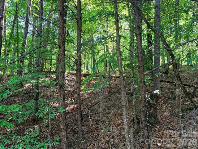 0000 Lakewood Drive, Lake Lure, NC 28746