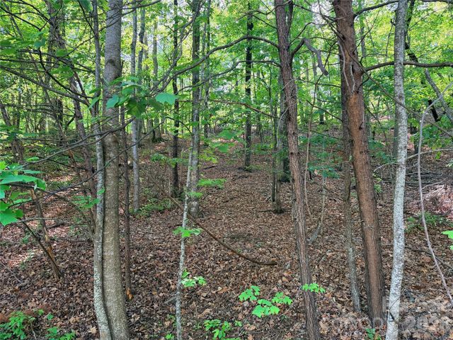 0000 Lakewood Drive, Lake Lure, NC 28746