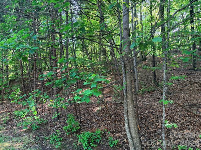 0000 Lakewood Drive, Lake Lure, NC 28746