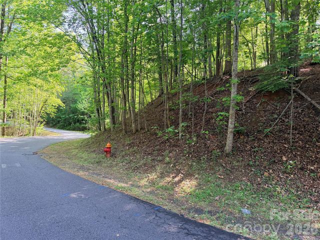 0000 Lakewood Drive, Lake Lure, NC 28746